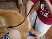Lady got fucked by dog while wearing skirts